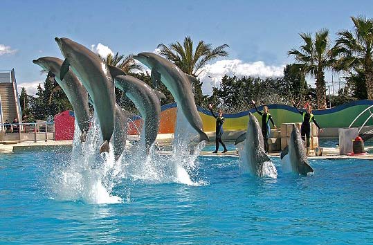 Marineland - детский парк, Детские парки во Франции, Лазурный берег Франции, Антибы, парк дельфинов Франция