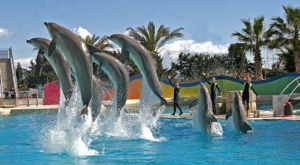 Camping Marineland